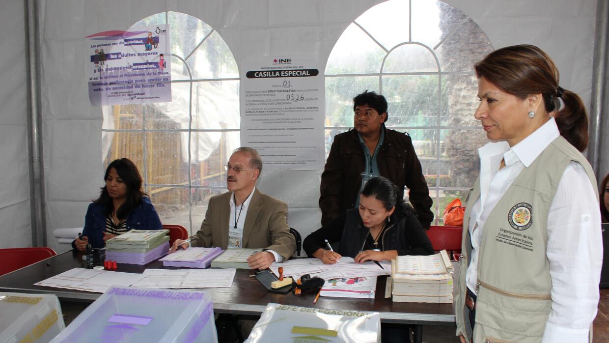 Misión electoral de la OEA en México en 2015