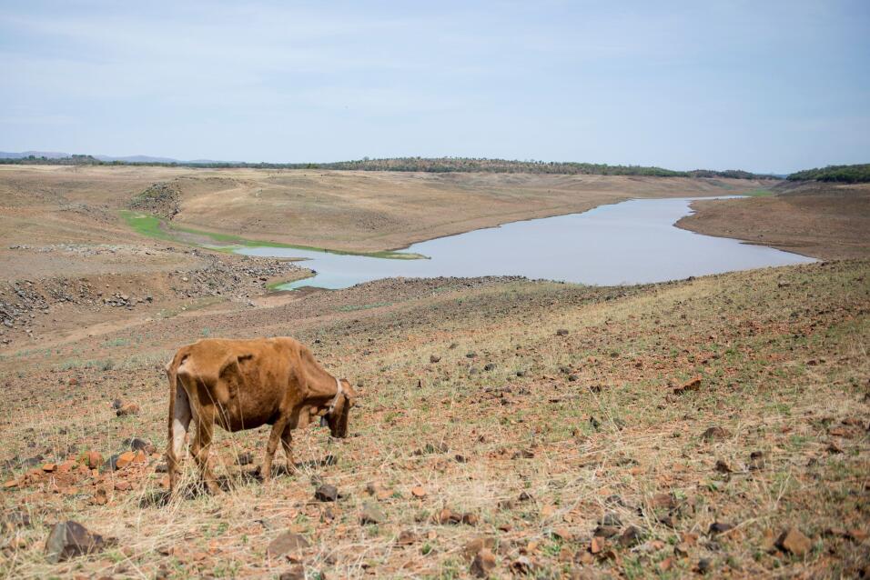 Cambio Climático