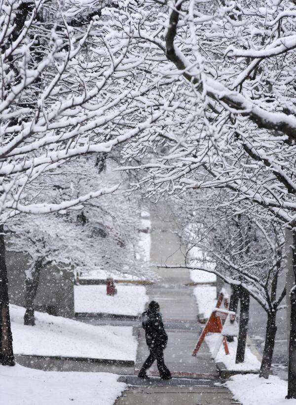 El noreste del país bajo nieve y ante posibles temperaturas mínimas réco...