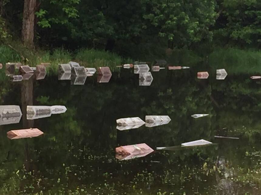 Fuertes lluvias registradas en Chicago hicieron que una sección del ceme...