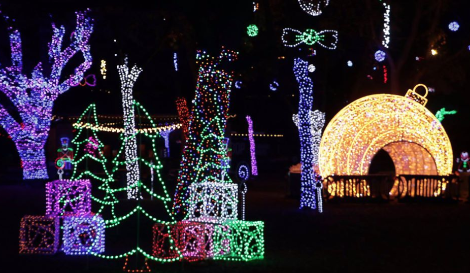 El zoológico se ilumina con casi un millón de luces, en un show navideño...