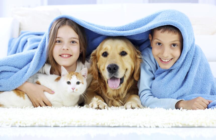 Señales para saber si tu mascota debe ir al veterinario