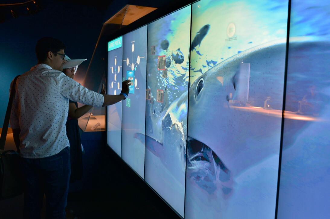 En fotos: una visita por el nuevo museo de la ciencia de Miami 636298760...