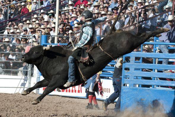 El jaripeo mexicano “Adicto al Peligro” Univision
