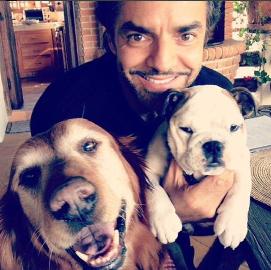 Fiona, la bulldog de Eugenio Derbez