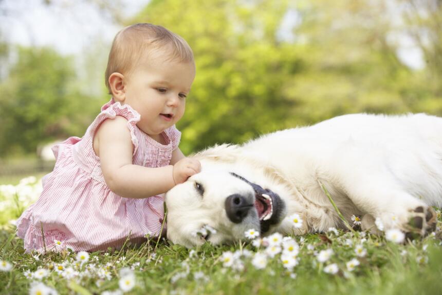 bebé y mascota