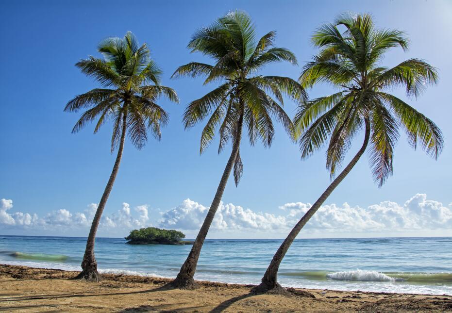 República Dominicana: ¡un paraíso lleno de aventura!