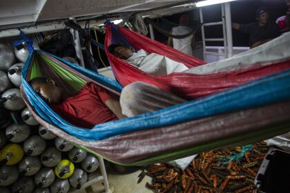 Como él, miles de jóvenes y adultos han hecho de la pesca por buceo su forma de vida en la Mosquitia, una región de Honduras y Nicaragua enclavada en la costa caribe. También como él, muchos han sido víctimas de lo que Atiliano dice es un ataque de presión y que la medicina describe como el <b>“síndrome de descompresión”</b>, un padecimiento por el que se forman burbujas de nitrógeno en el cuerpo de los buzos y puede causar parálisis o incluso la muerte.