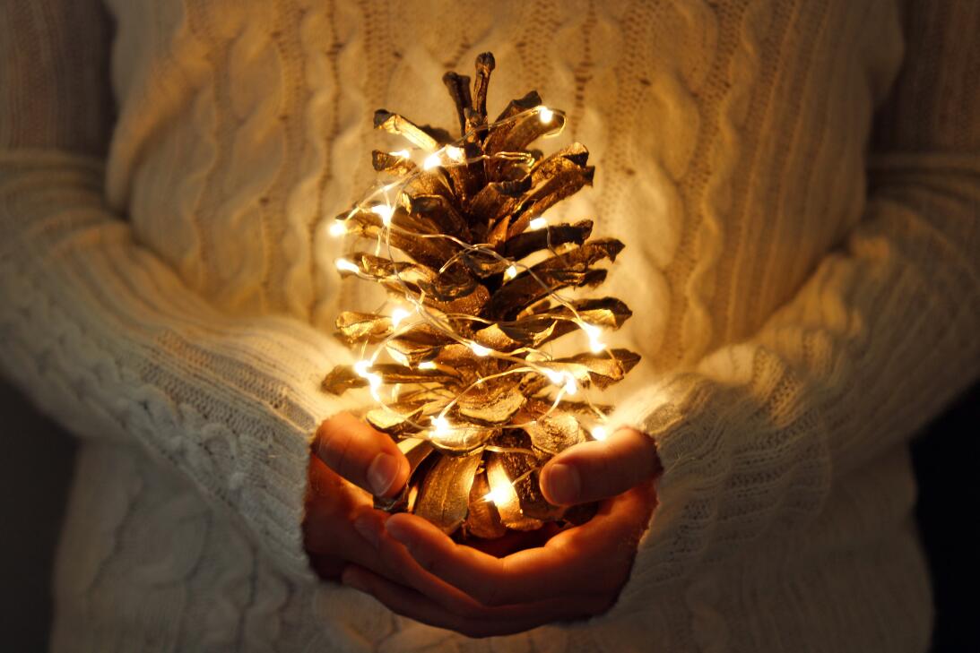 Estas son 7 simples formas de pasar una navidad más sostenible istock-82...