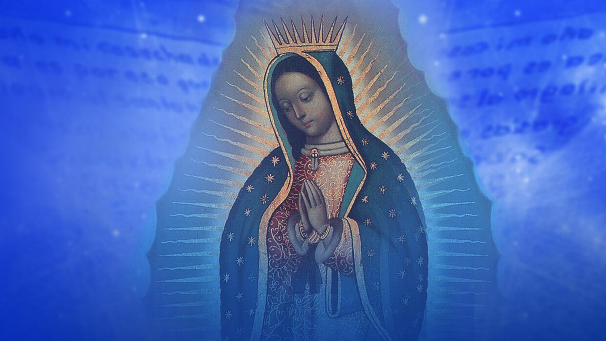 La Rosa de Guadalupe Univision La Rosa de Guadalupe Univision