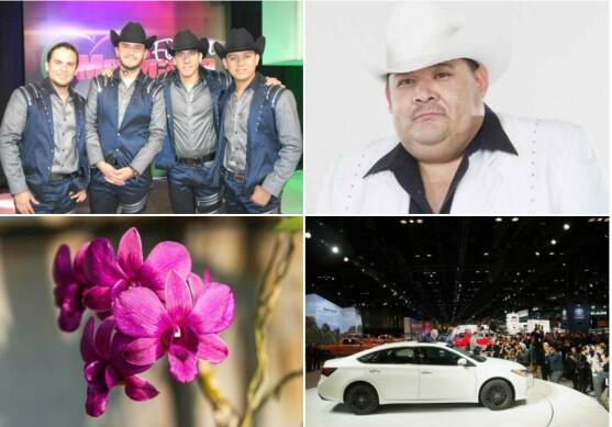 Conciertos, festivales y mucho auto show en Chicago este fin de semana.