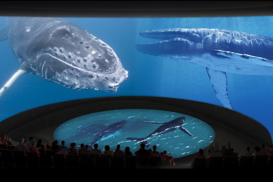Las producciones audiovisuales serán creadas por el acuario.