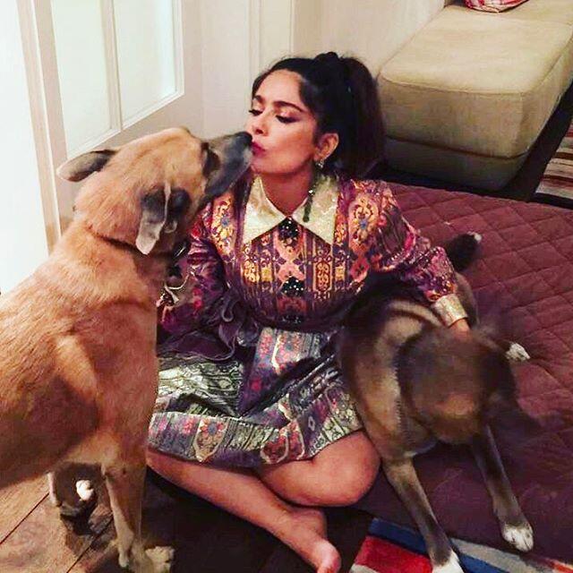 Los famosos que más adoran a sus mascotas.