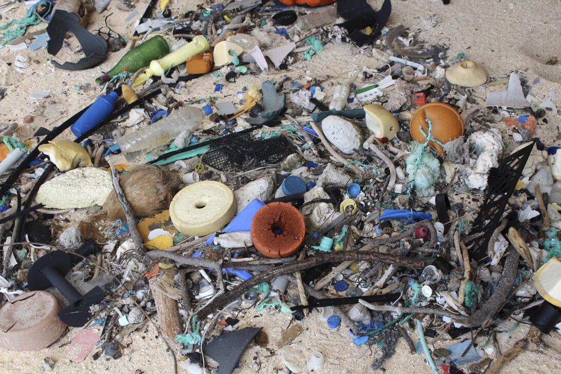 En fotos: Esta paradisíaca isla está cubierta por 37 millones de piezas...