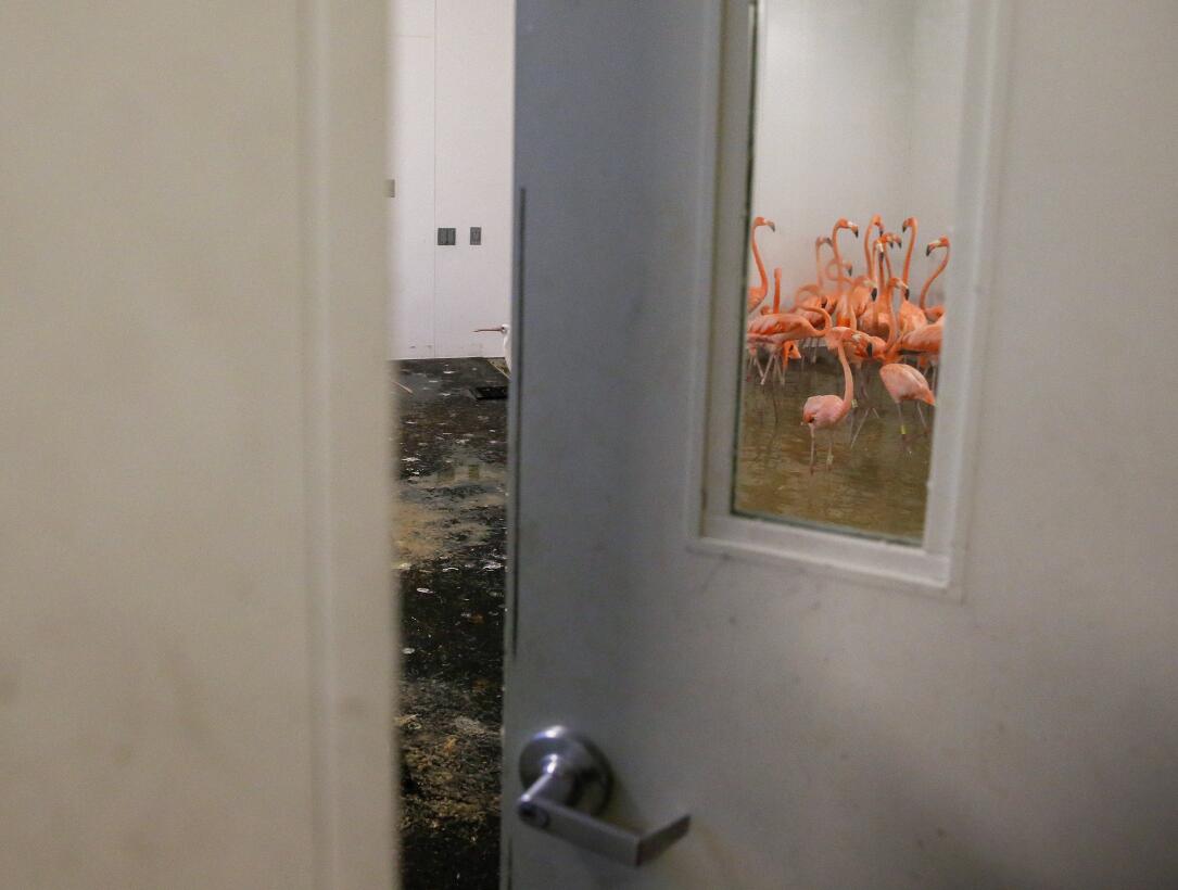Muchas instalaciones revisan o actualizan sus protocolos cada año, inclu...