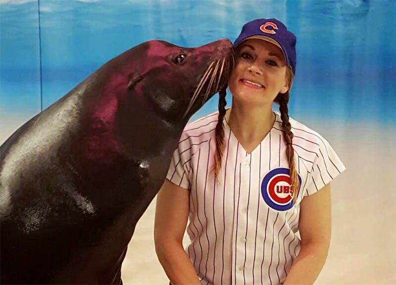 Animales y personal del acuario Shedd se unen a la celebración por los Cubs