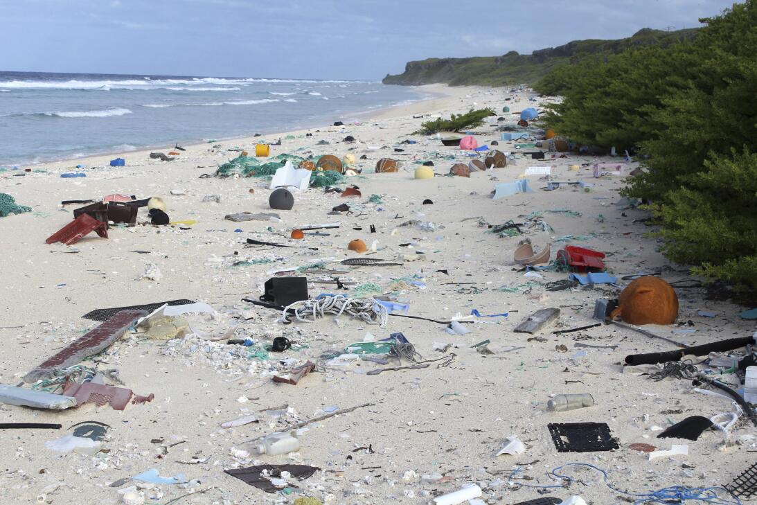 En fotos: Esta paradisíaca isla está cubierta por 37 millones de piezas...