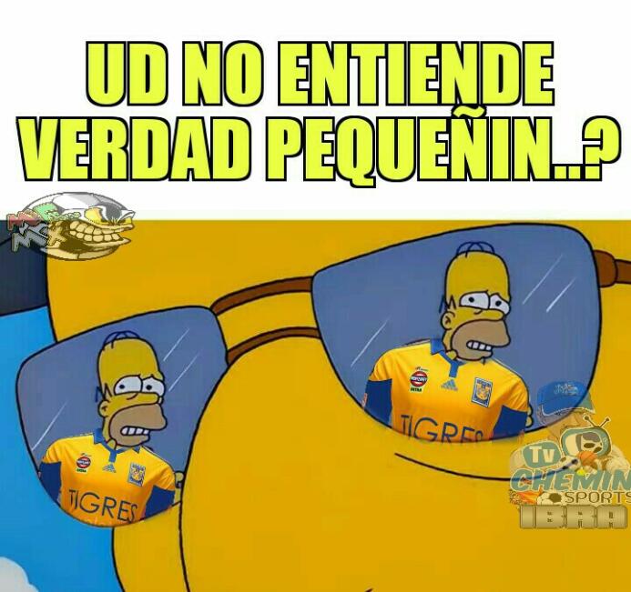 No solo fue Zacatepec, los memes tampoco tuvieron compasión con Tigres 2...