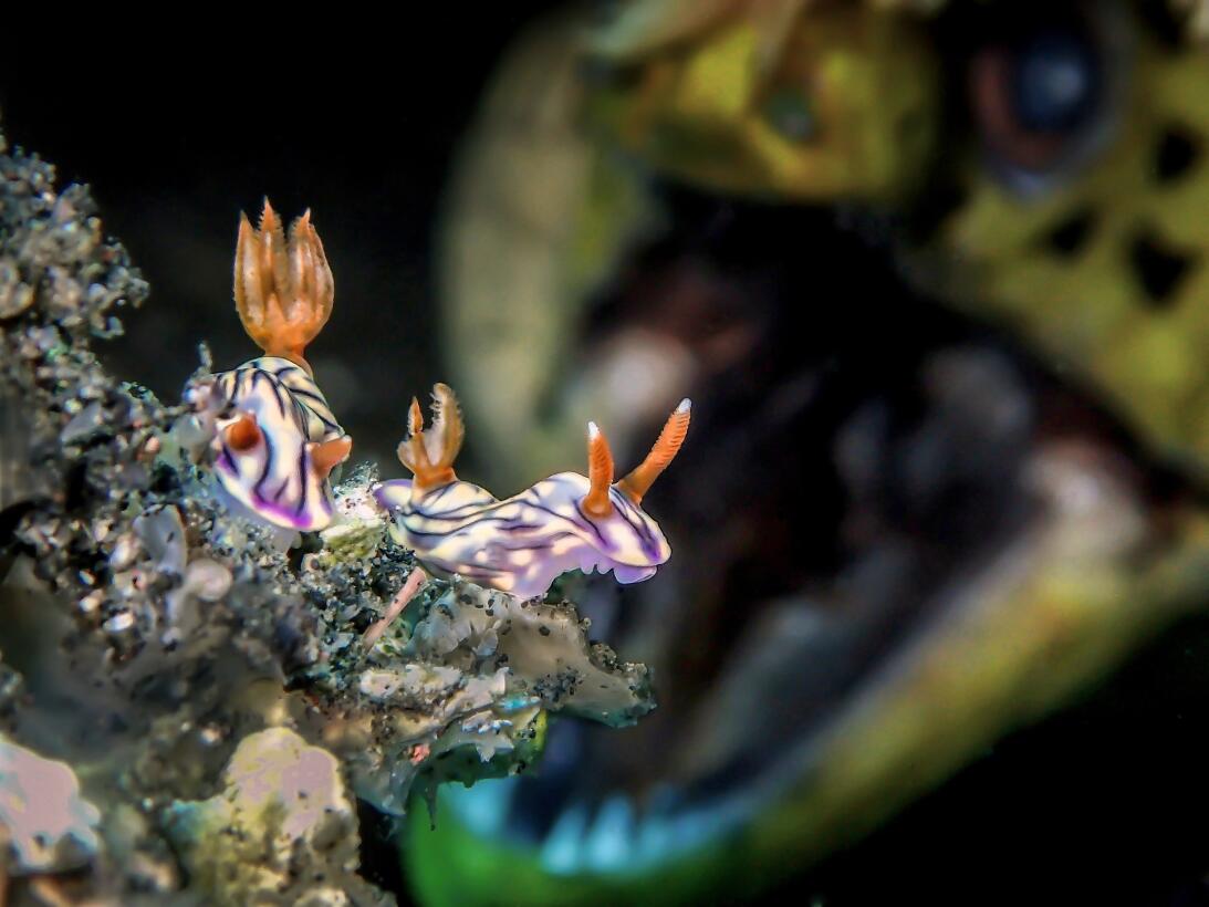 Los 12 paisajes acuáticos que ganaron el concurso mundial de fotografía...