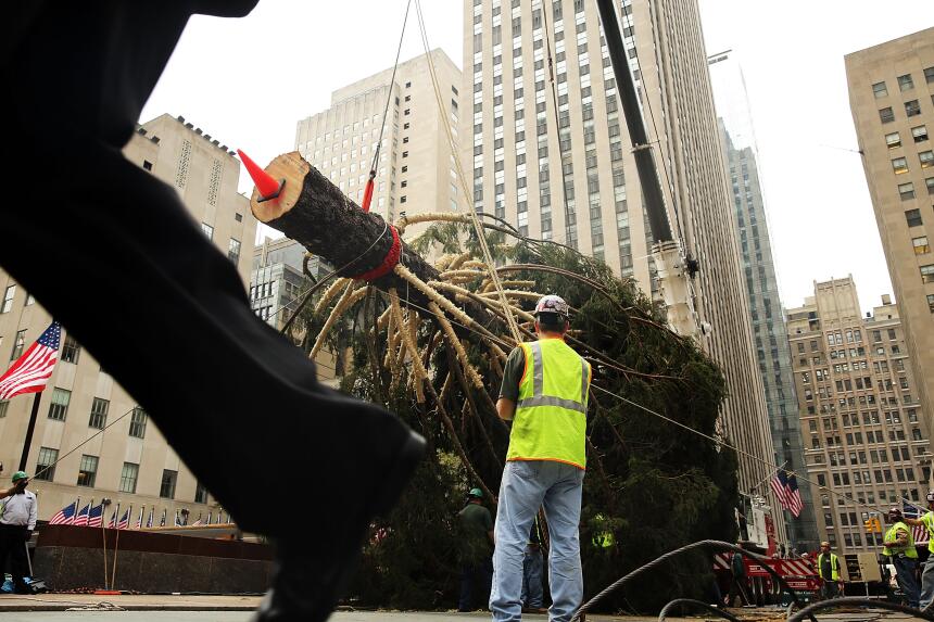 Llegó el emblemático árbol de Navidad al Rockefeller Center