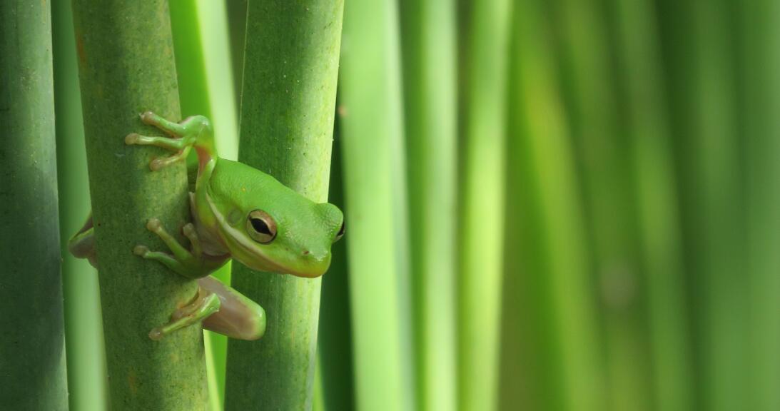 Verde limón para despertar los sentidos